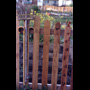 1994 03 Mount Pleasant Community Fence Project 001 detail lower fence 5 red cedar pickets