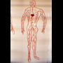 1997 10 14 Positive Oraf human single figure drawing red veins